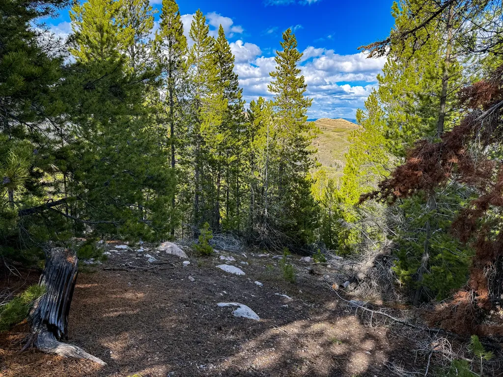 Tbd Silver Creek Trail Anaconda MT 59711