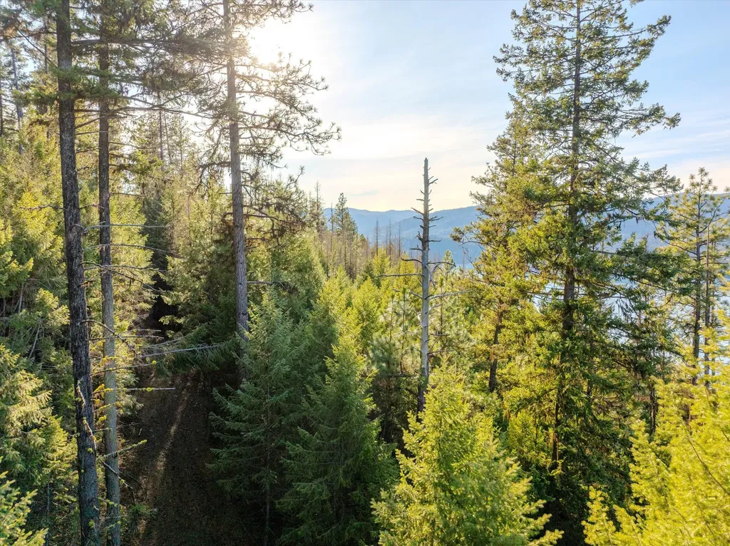 Nhn Highway 37 Libby MT 59923
