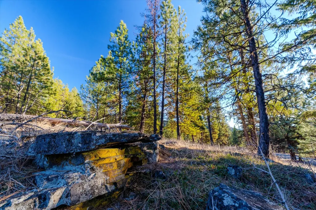 Nhn Highway 37 Libby MT 59923