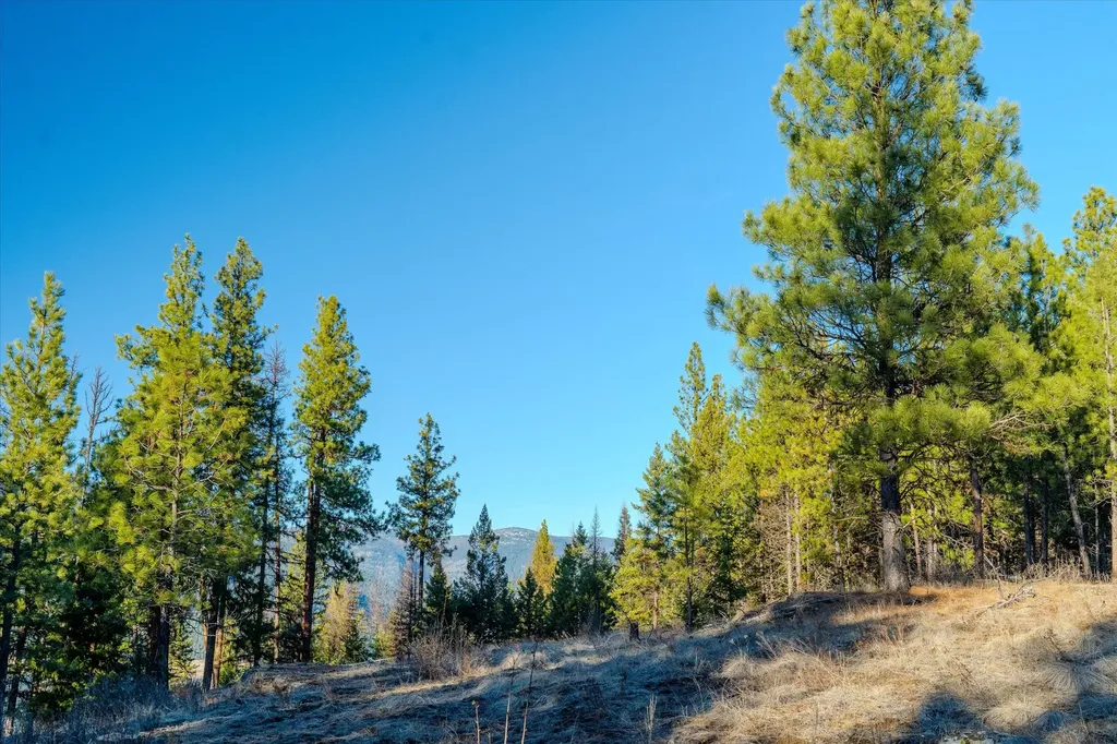 Nhn Highway 37 Libby MT 59923