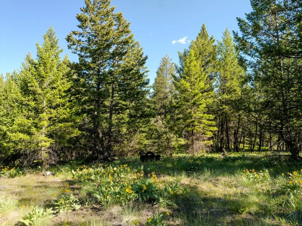 747 Grand View Drive Rexford MT 59930