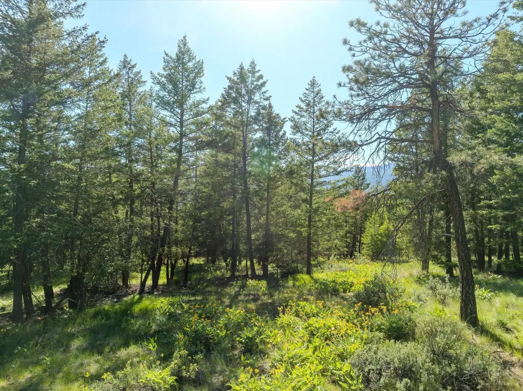 747 Grand View Drive Rexford MT 59930