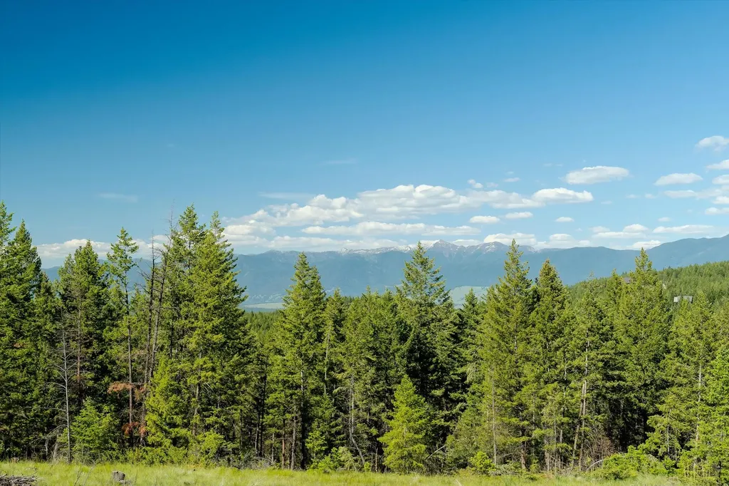 747 Grand View Drive Rexford MT 59930
