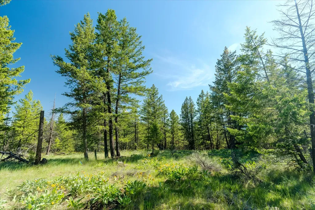 747 Grand View Drive Rexford MT 59930