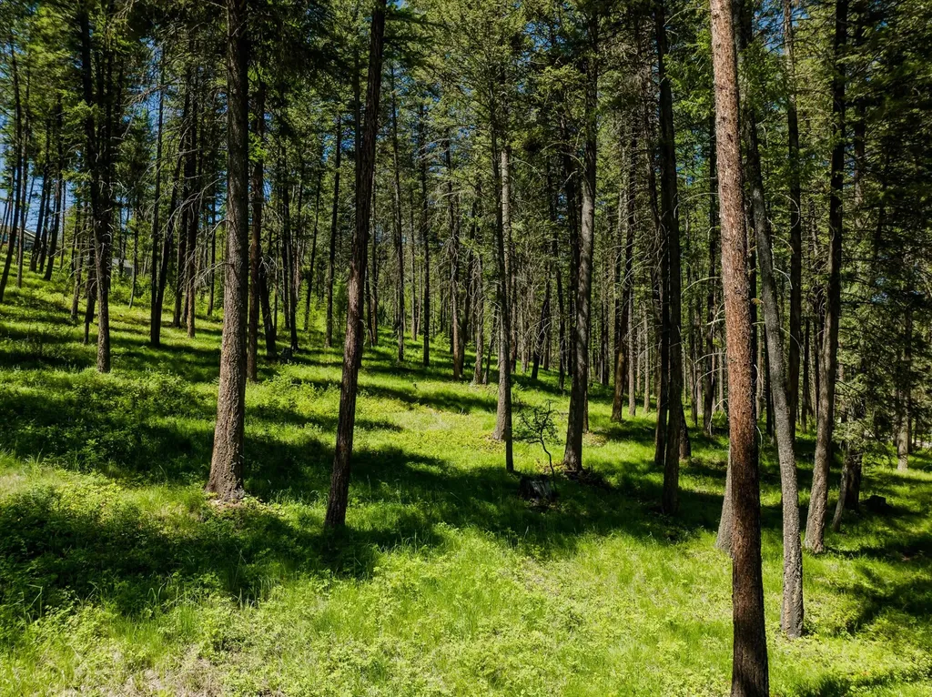 42843 Jette Lake Trail Polson MT 59860