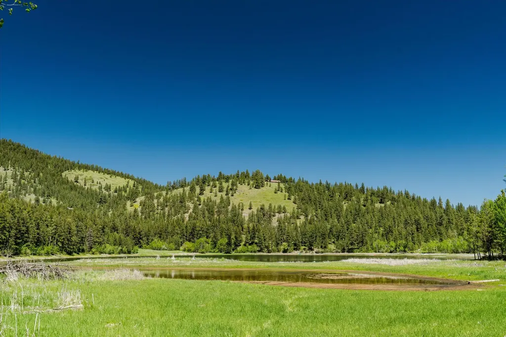 42843 Jette Lake Trail Polson MT 59860
