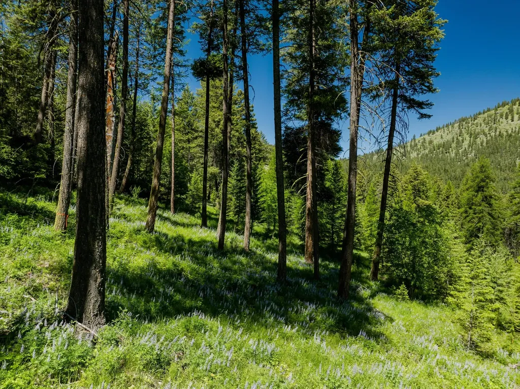 42843 Jette Lake Trail Polson MT 59860