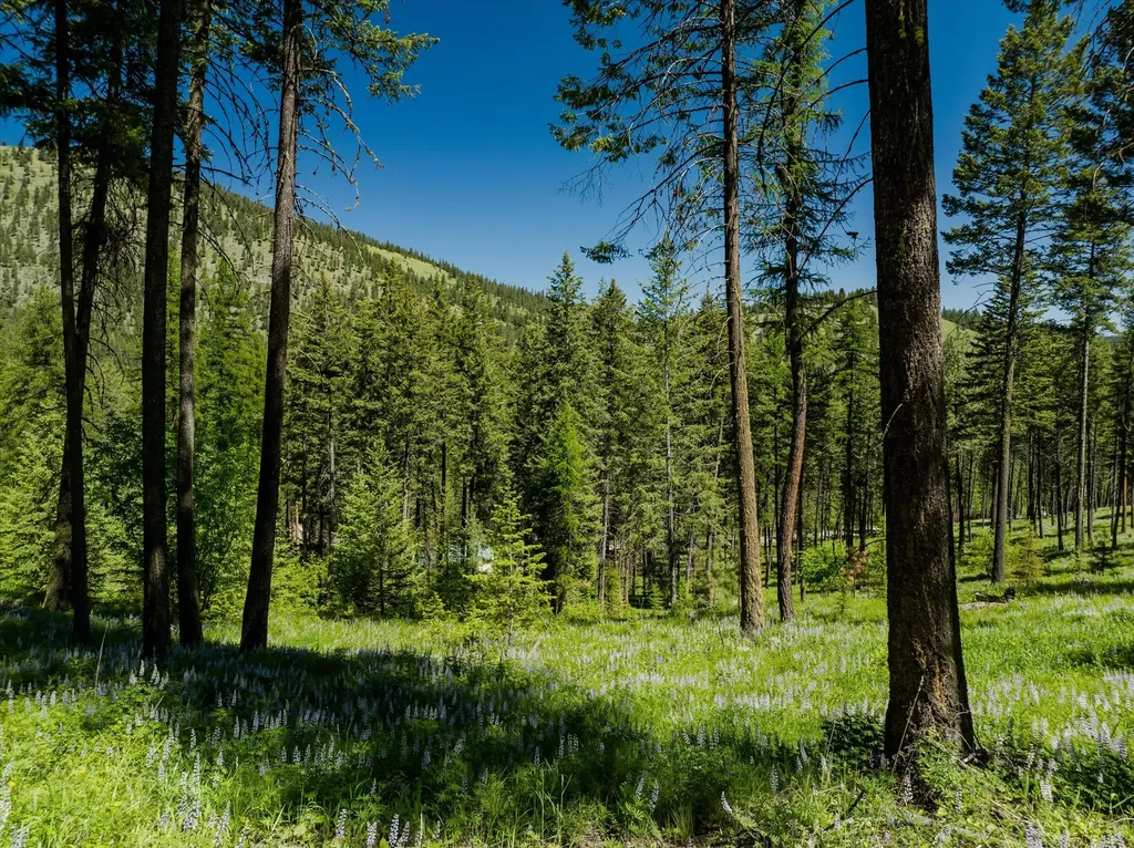 42843 Jette Lake Trail Polson MT 59860