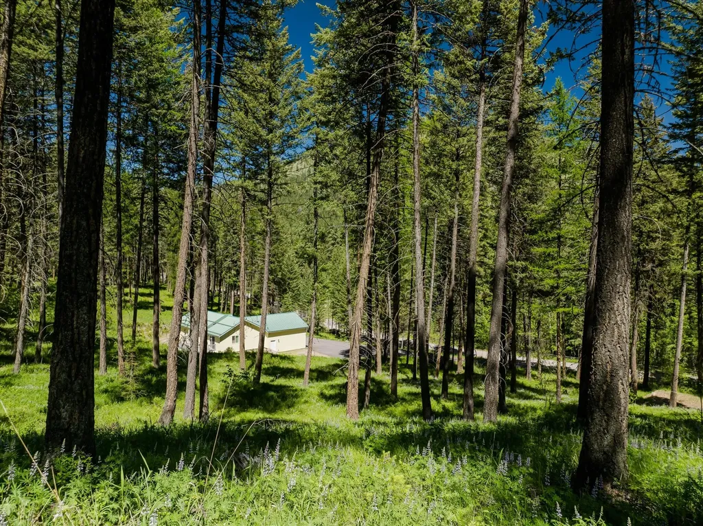 42843 Jette Lake Trail Polson MT 59860