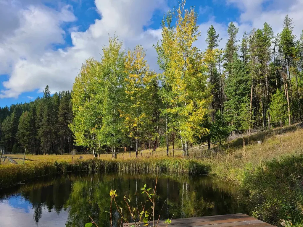 127 Lonely Moose Lane Alberton MT 59820