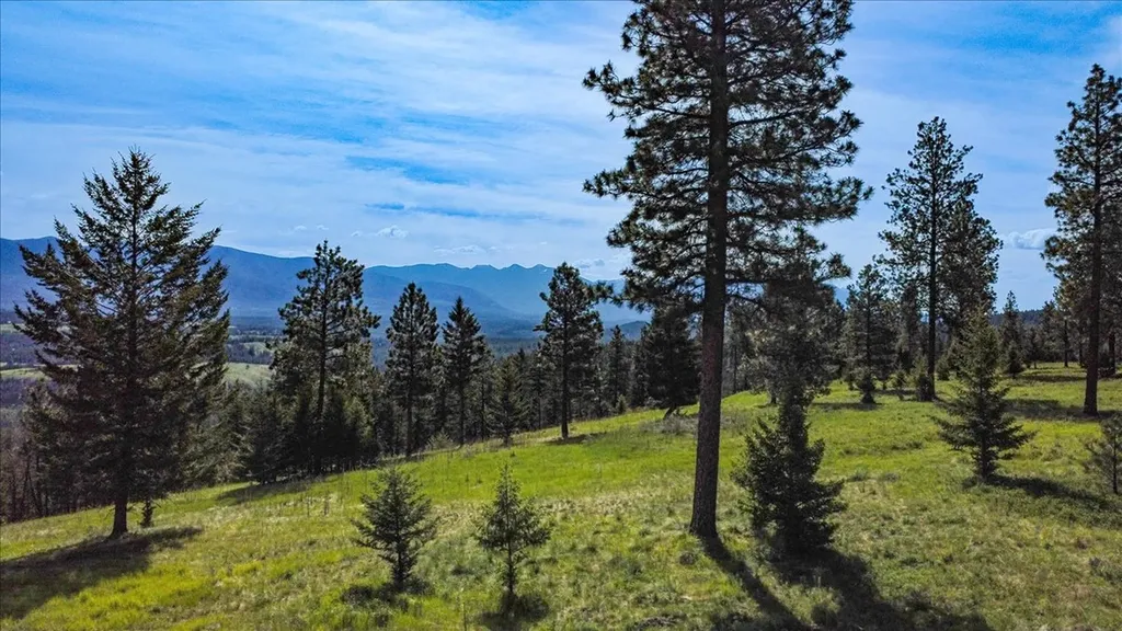 560 Riding High Drive Eureka MT 59917