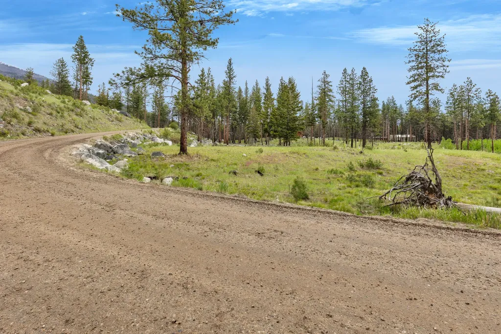Lot 11 Roaring Lion Road Hamilton MT 59840