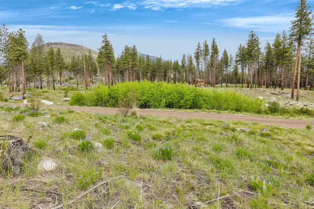 Lot 11 Roaring Lion Road Hamilton MT 59840