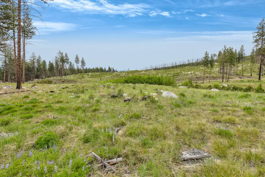 Lot 11 Roaring Lion Road Hamilton MT 59840