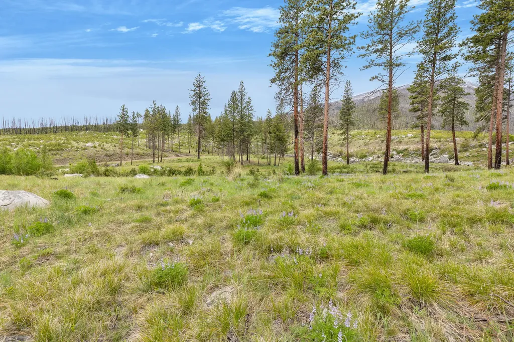 Lot 11 Roaring Lion Road Hamilton MT 59840
