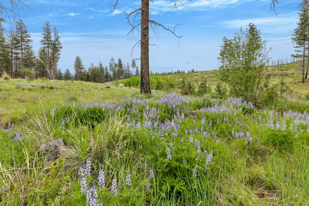 Lot 11 Roaring Lion Road Hamilton MT 59840