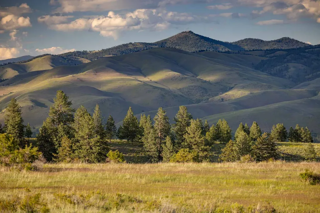 8337 Lamar Trail Lolo MT 59847