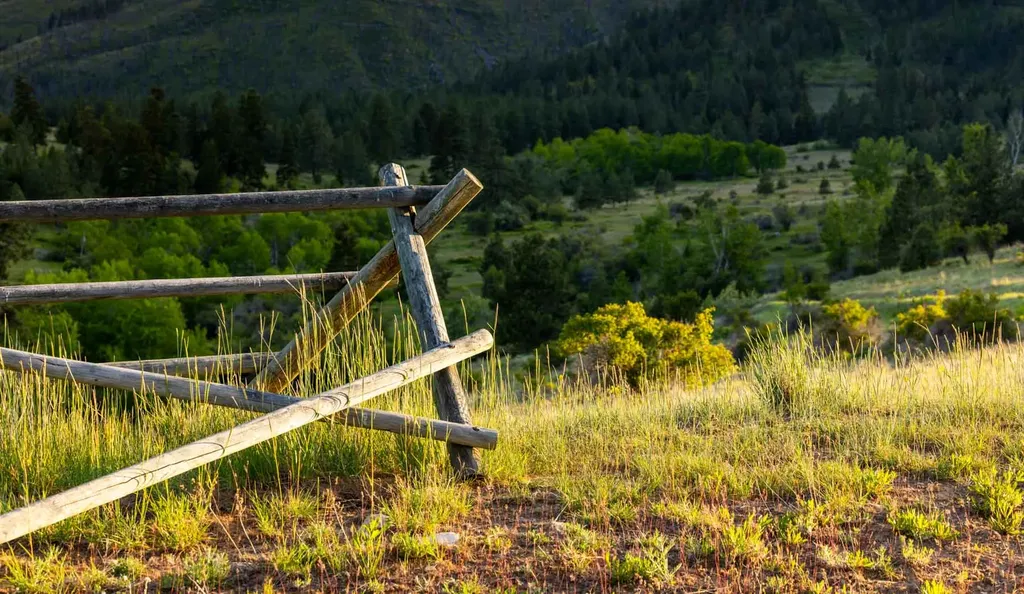 8337 Lamar Trail Lolo MT 59847
