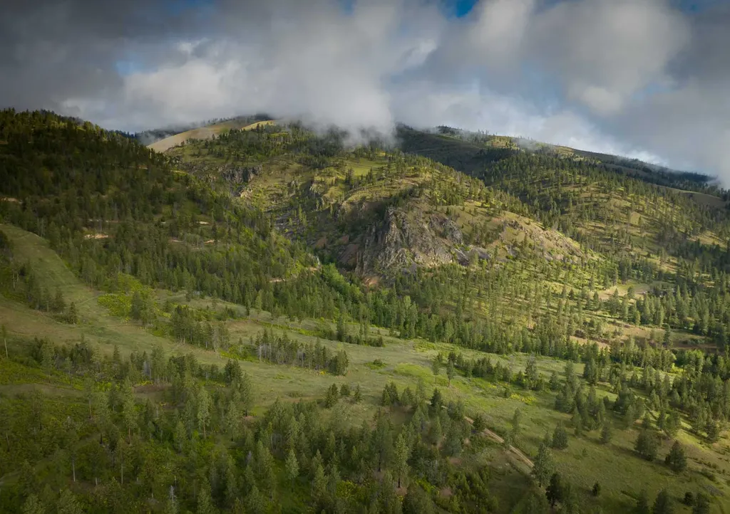 8337 Lamar Trail Lolo MT 59847