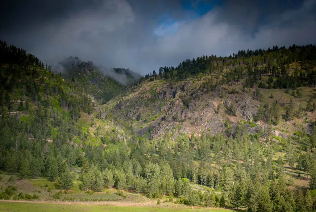 8337 Lamar Trail Lolo MT 59847