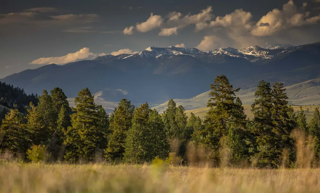8337 Lamar Trail Lolo MT 59847