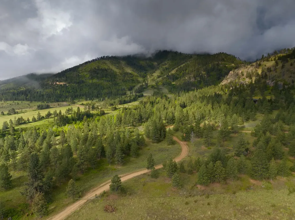 8337 Lamar Trail Lolo MT 59847