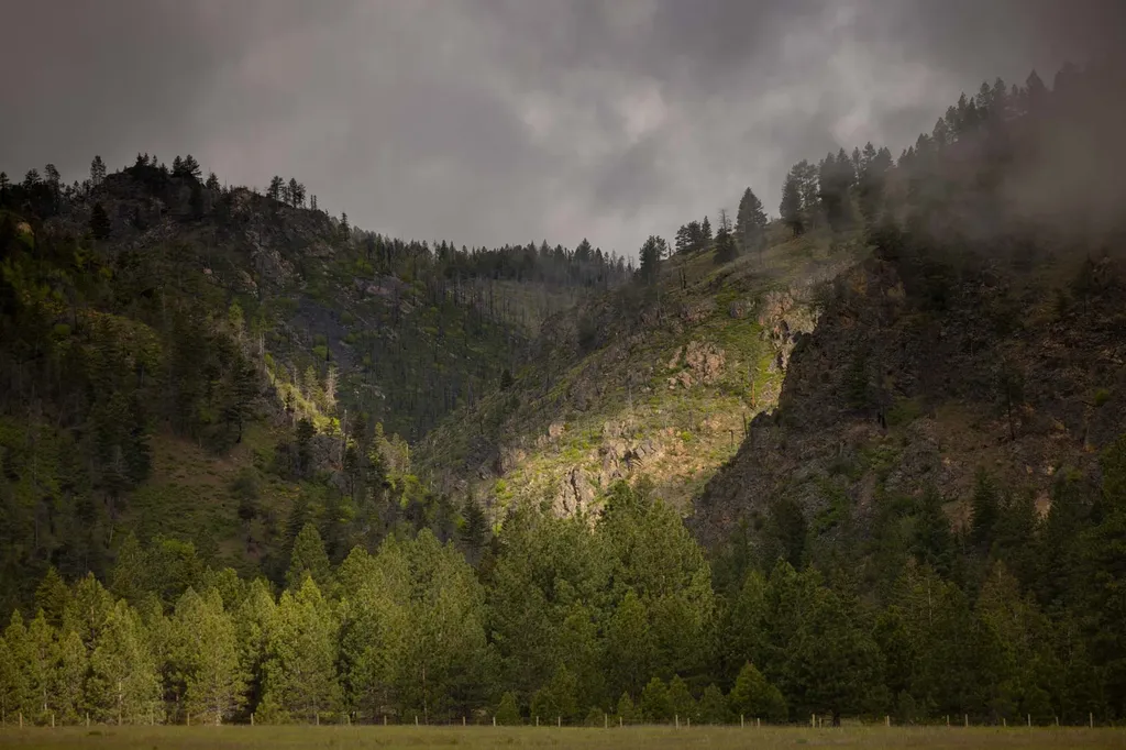8337 Lamar Trail Lolo MT 59847