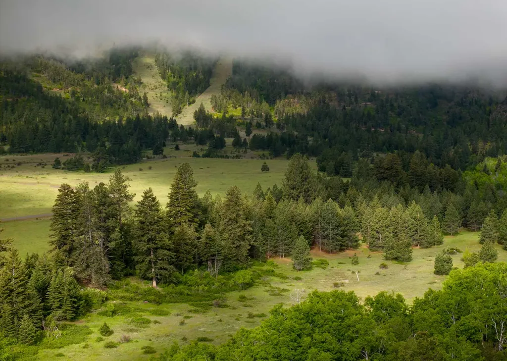 8337 Lamar Trail Lolo MT 59847