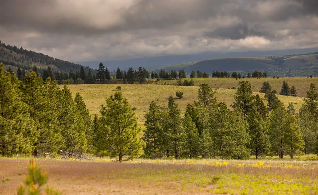 8337 Lamar Trail Lolo MT 59847