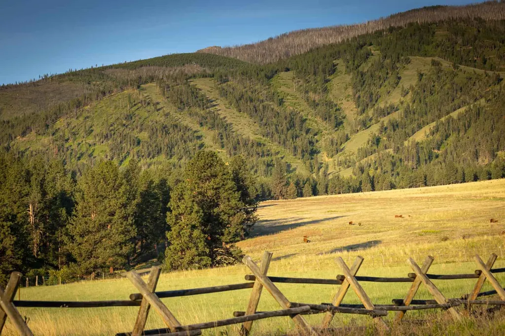 8337 Lamar Trail Lolo MT 59847