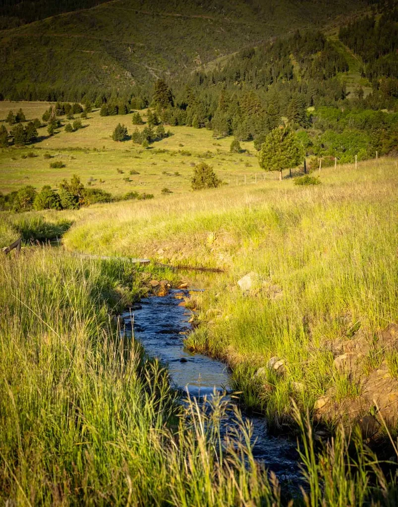 8337 Lamar Trail Lolo MT 59847