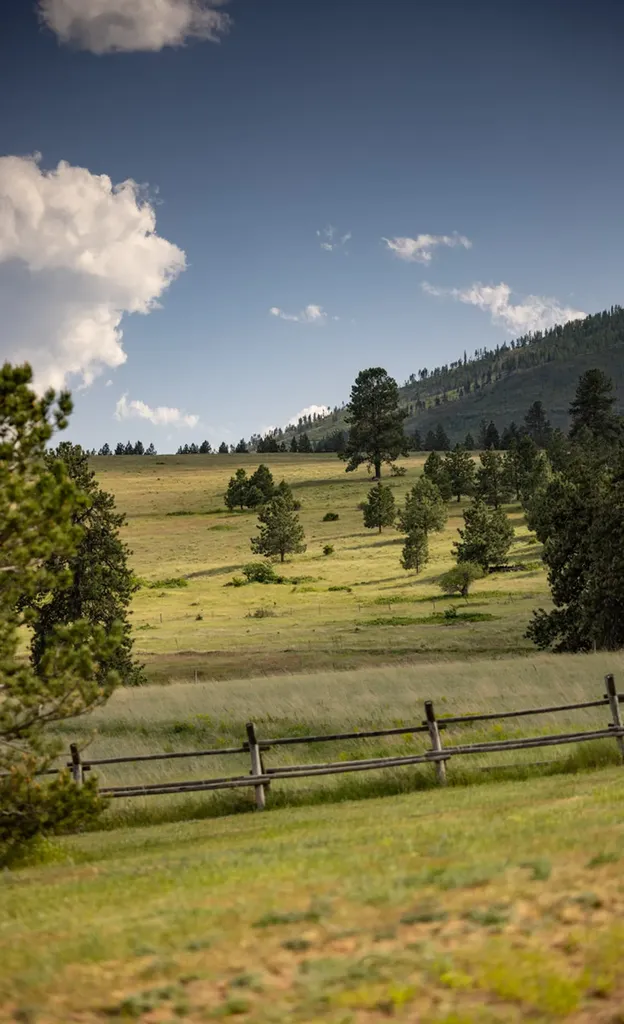 8337 Lamar Trail Lolo MT 59847
