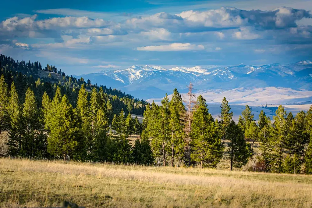 8337 Lamar Trail Lolo MT 59847