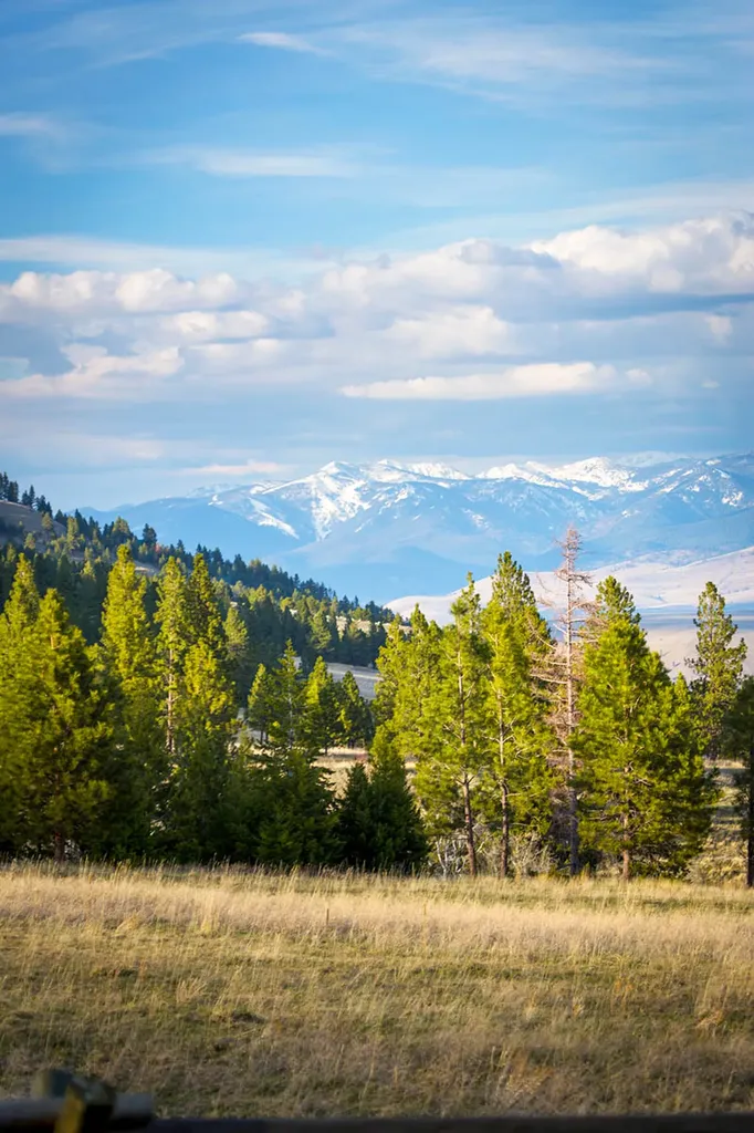 8337 Lamar Trail Lolo MT 59847