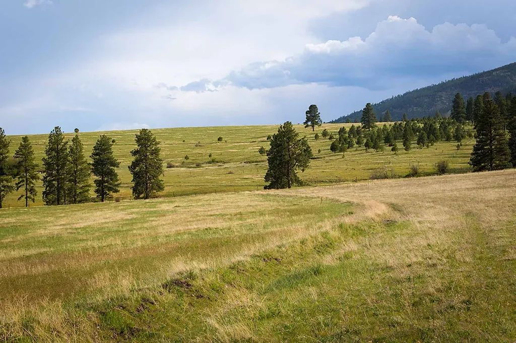 8337 Lamar Trail Lolo MT 59847