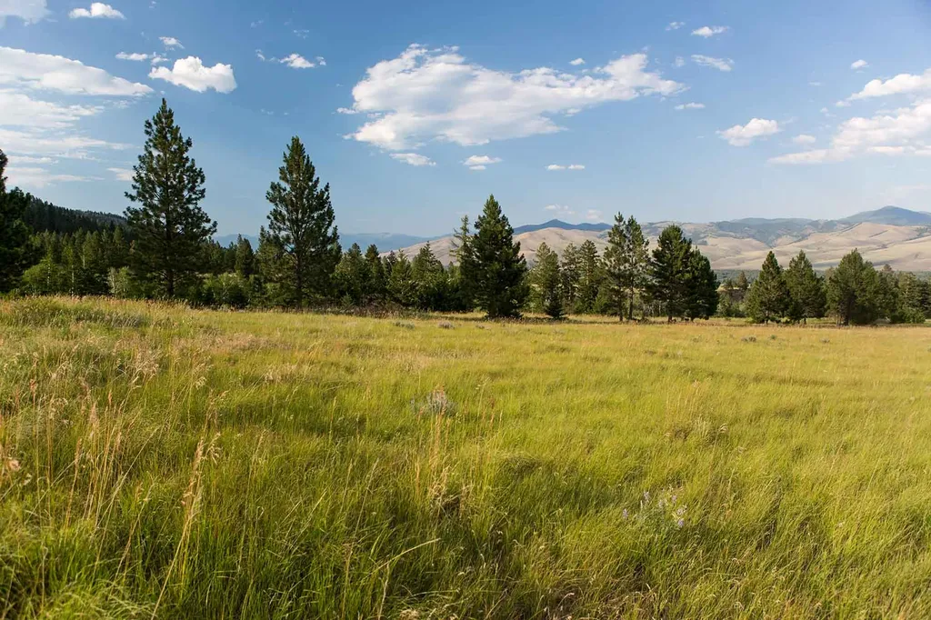 8337 Lamar Trail Lolo MT 59847