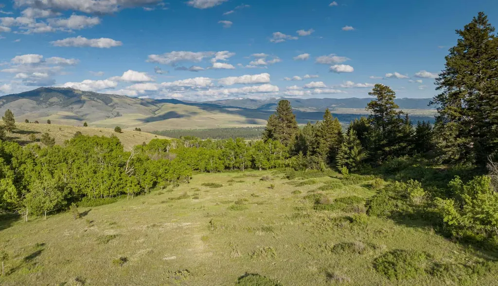 8337 Lamar Trail Lolo MT 59847