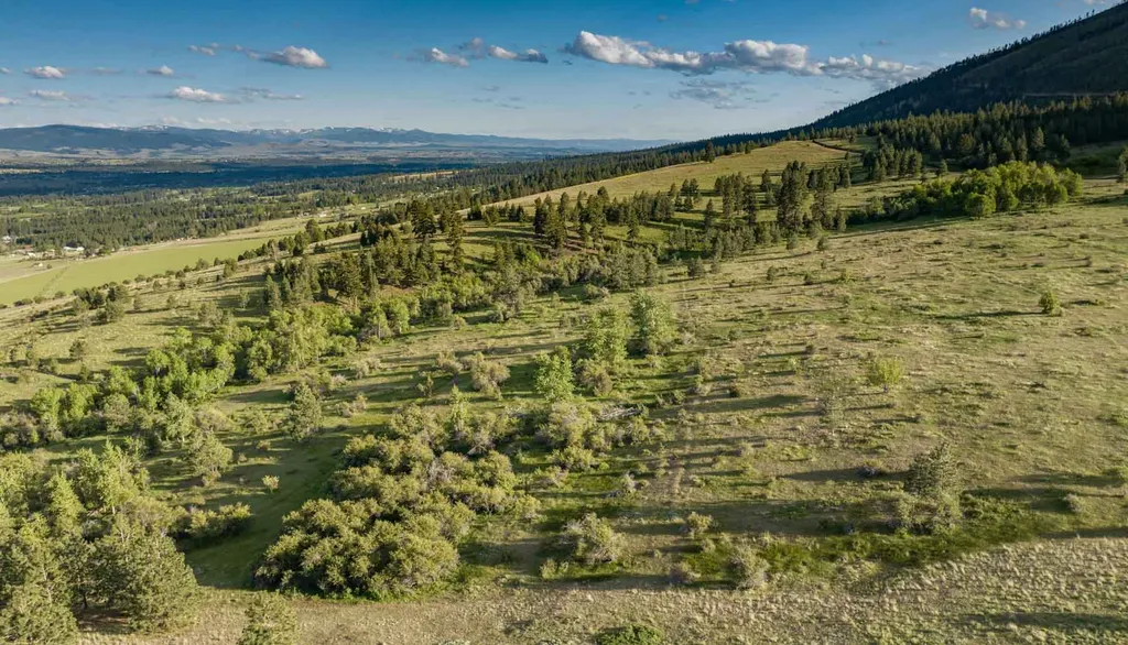 8337 Lamar Trail Lolo MT 59847
