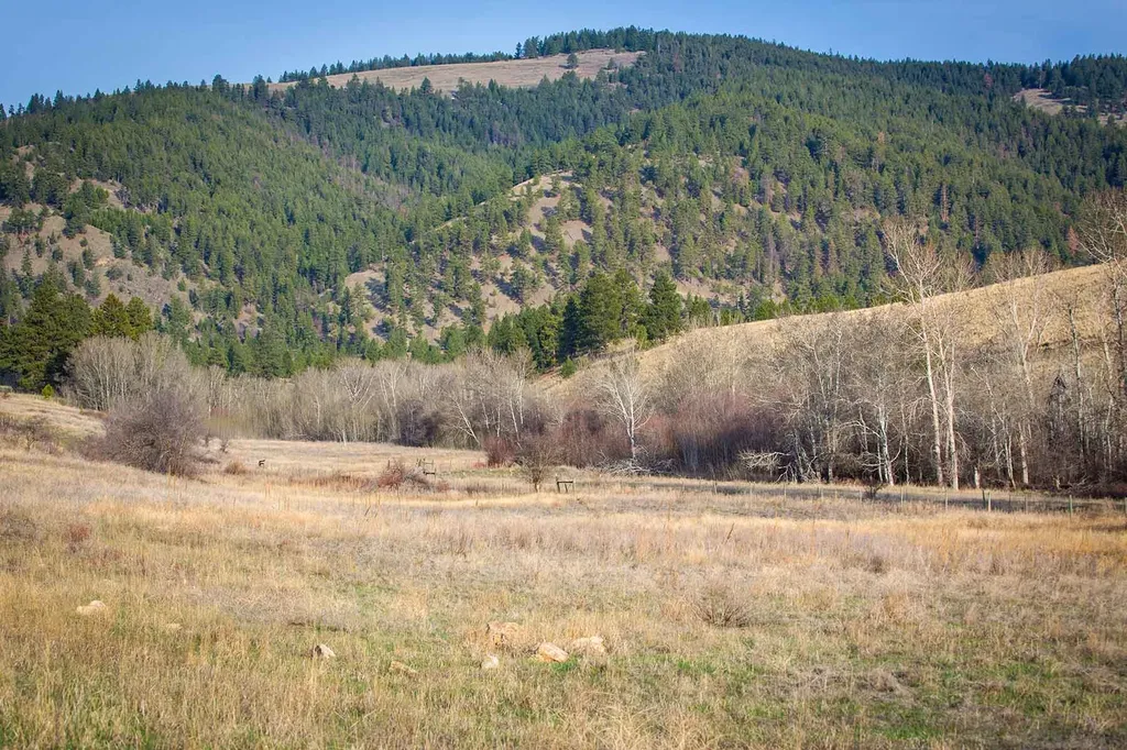 8337 Lamar Trail Lolo MT 59847