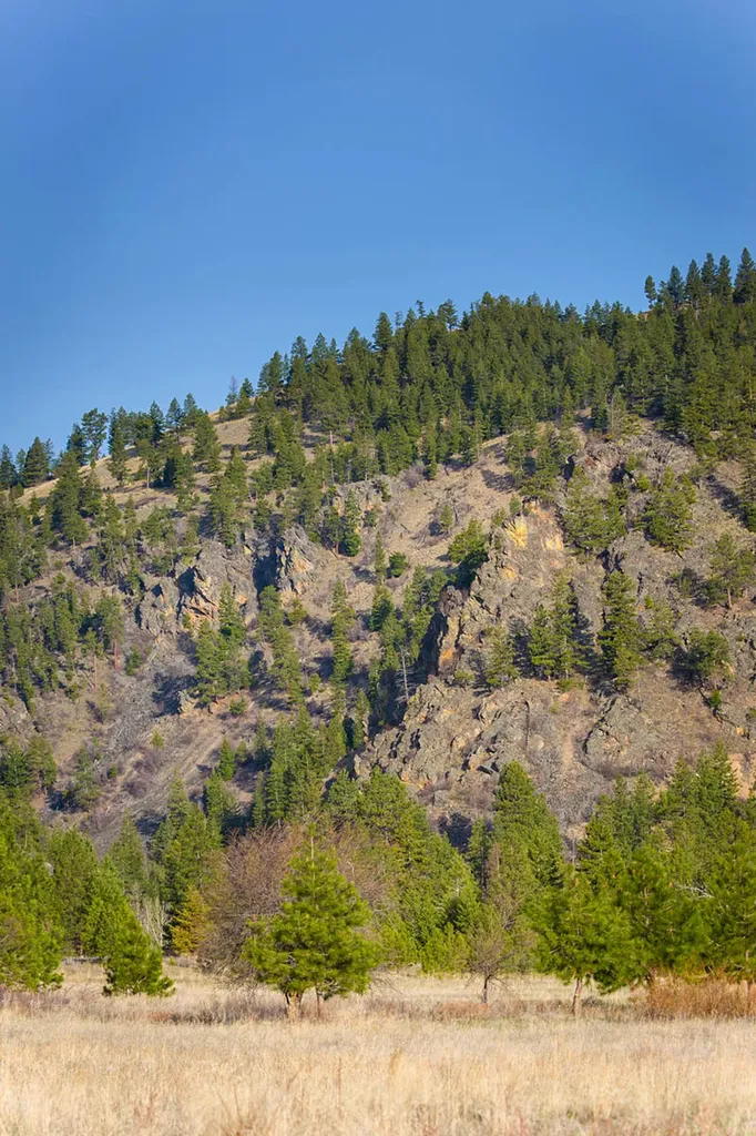 8337 Lamar Trail Lolo MT 59847