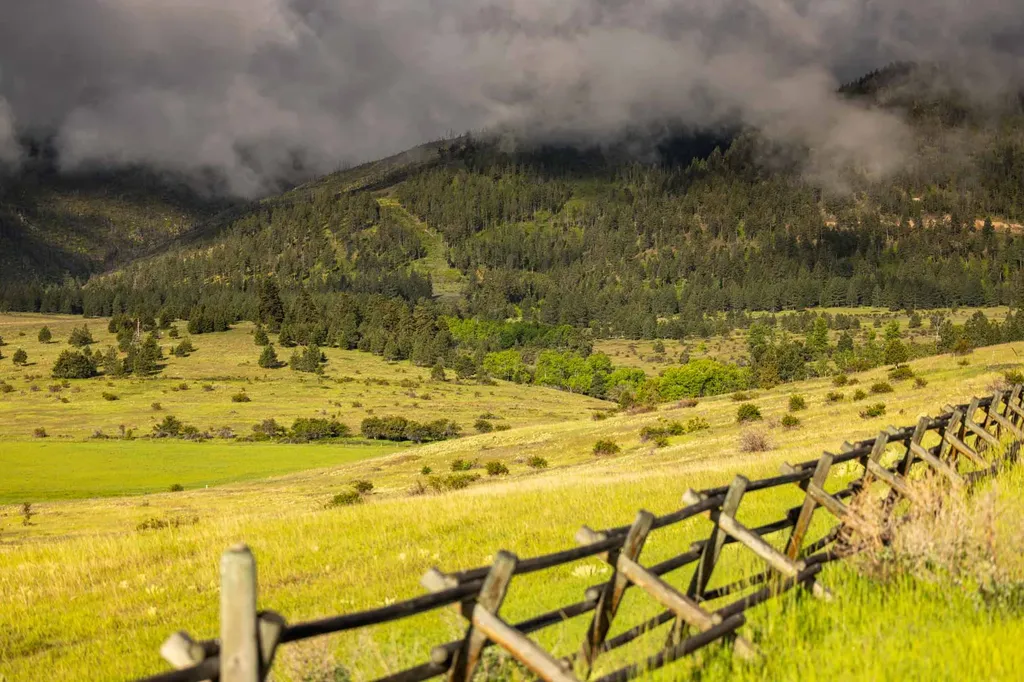8337 Lamar Trail Lolo MT 59847