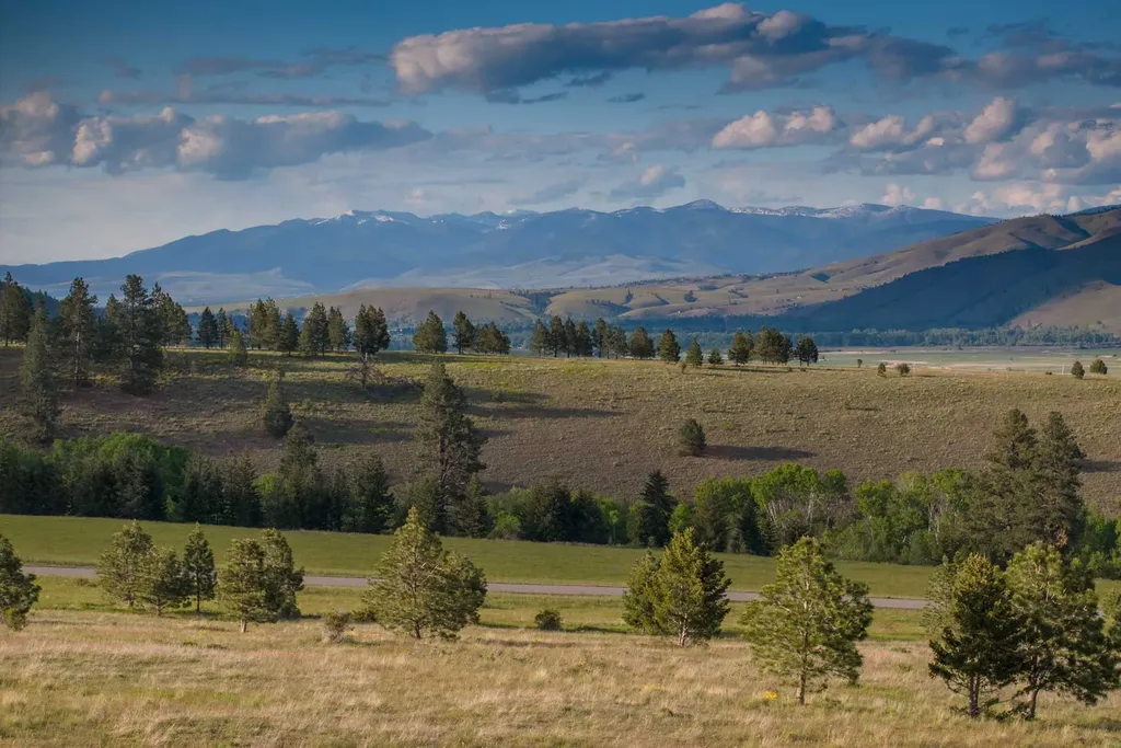 8337 Lamar Trail Lolo MT 59847