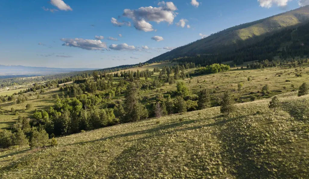 8337 Lamar Trail Lolo MT 59847