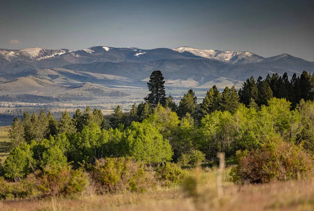8337 Lamar Trail Lolo MT 59847