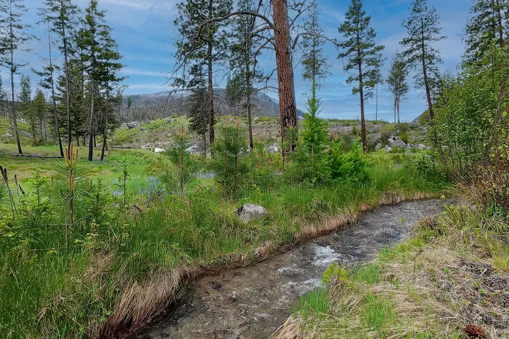 Lot 8 Roaring Lion Road Hamilton MT 59840