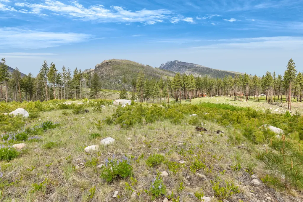 Lot 8 Roaring Lion Road Hamilton MT 59840
