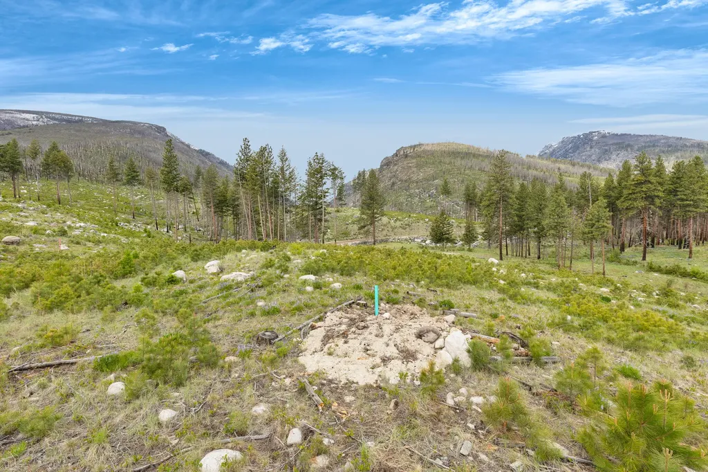 Lot 8 Roaring Lion Road Hamilton MT 59840