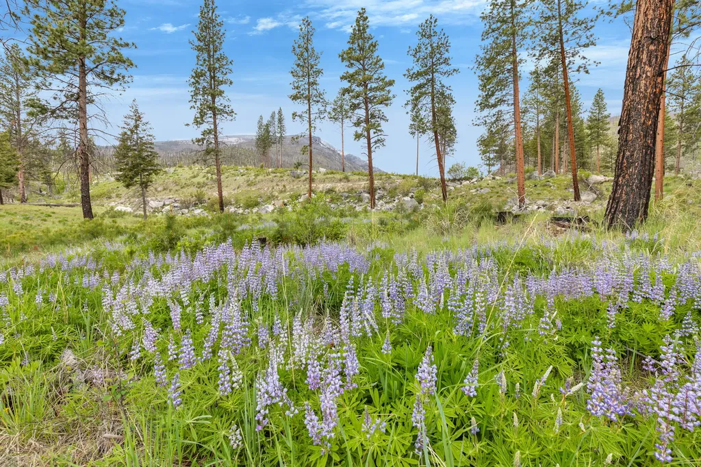 Lot 8 Roaring Lion Road Hamilton MT 59840