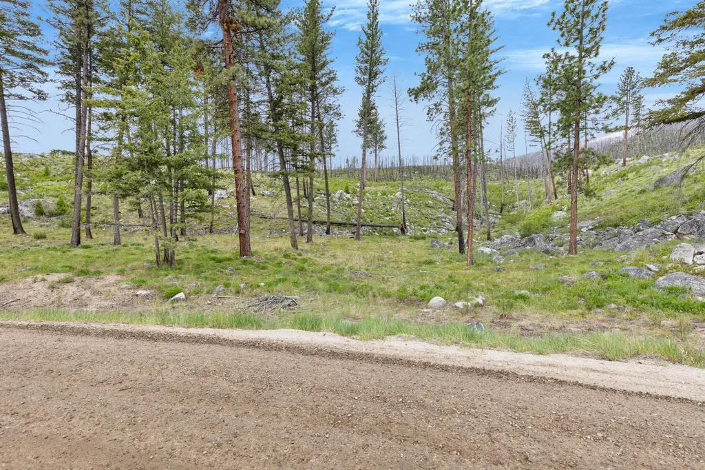 Lot 8 Roaring Lion Road Hamilton MT 59840