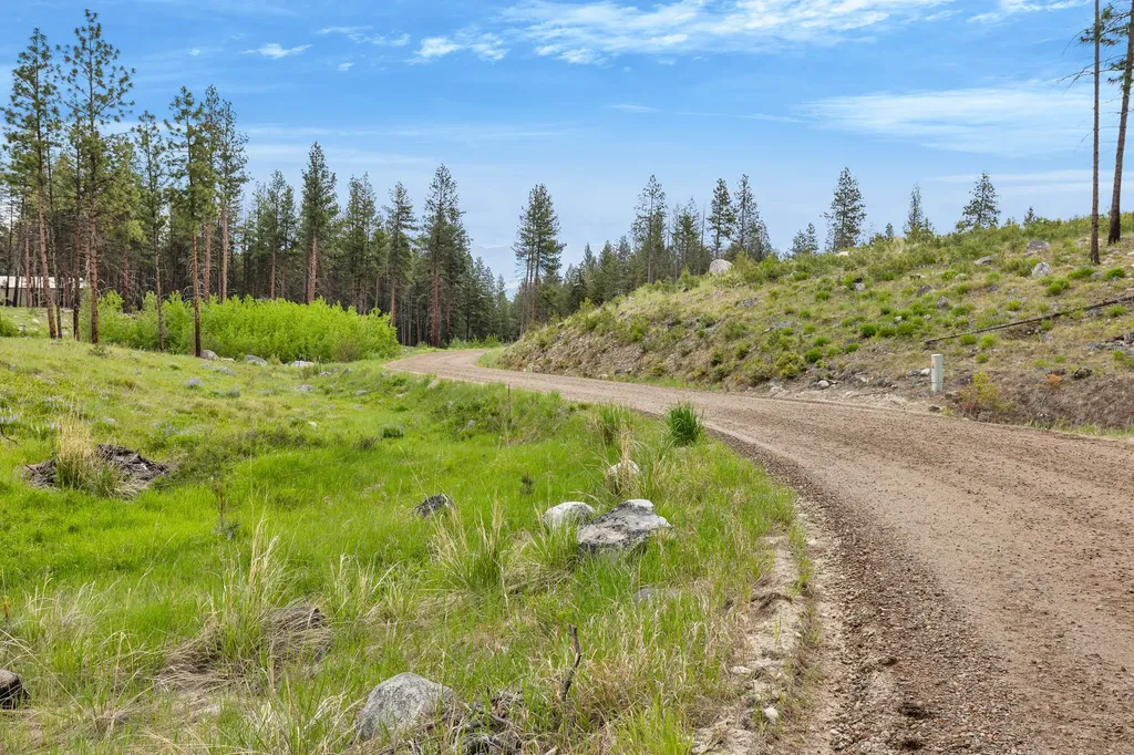 Lot 8 Roaring Lion Road Hamilton MT 59840